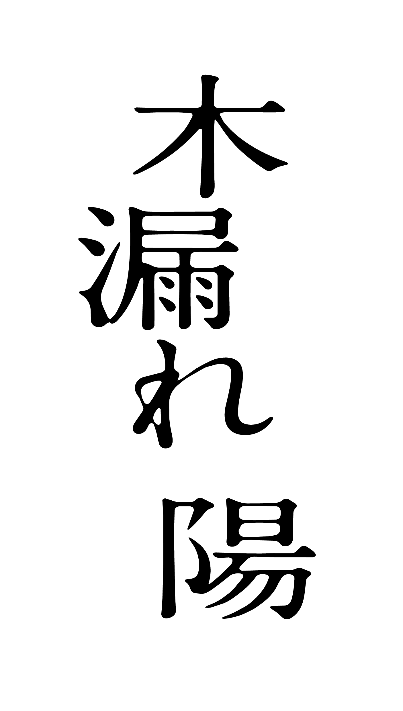 木漏れ陽